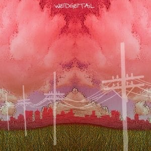 Illustrations-Wedgetail