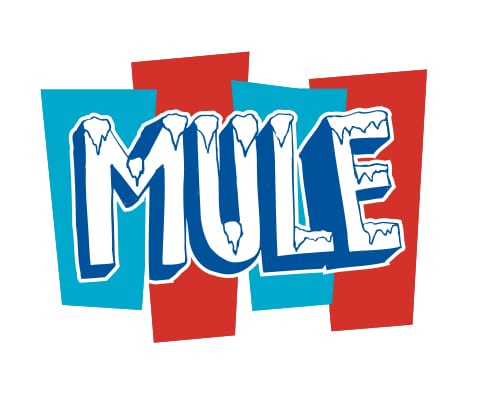 Gov't Mule Tour Art 2017